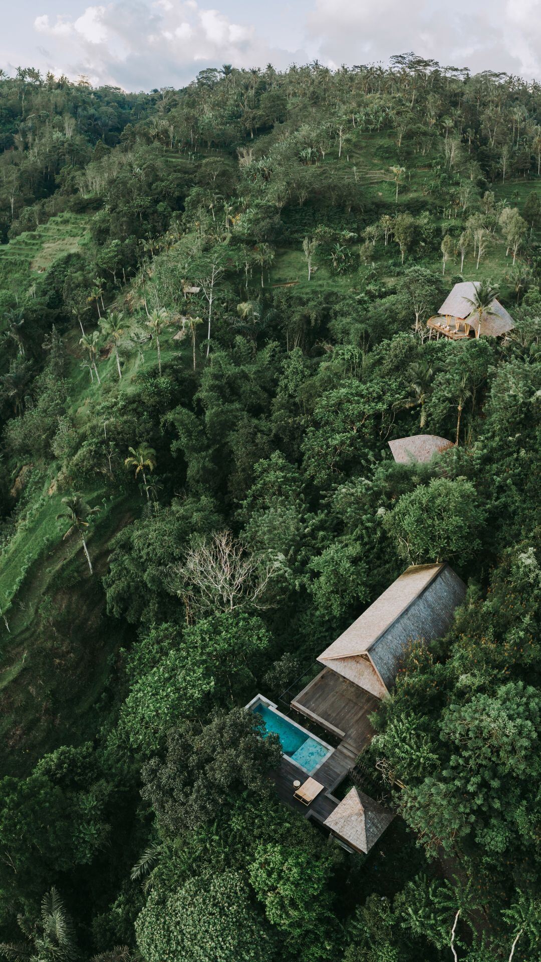 BTE - offers - SMPL thumbnail.jpeg